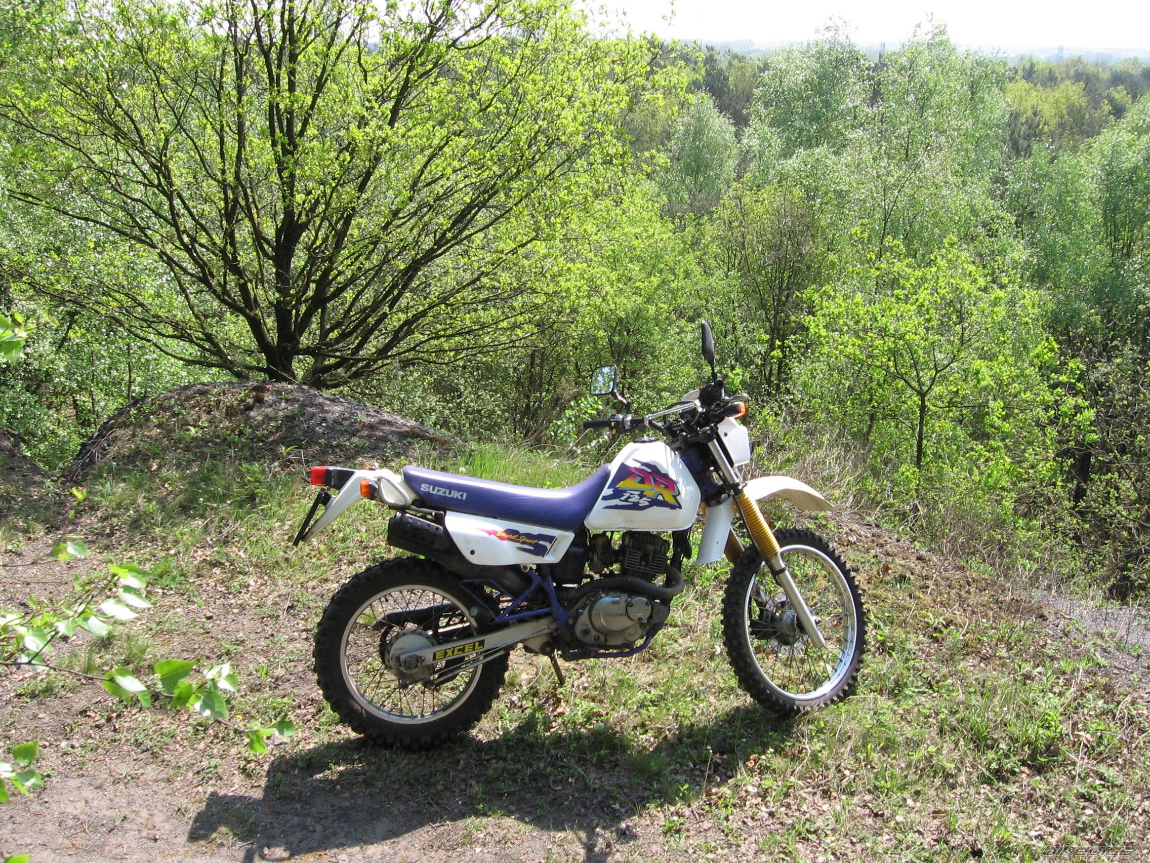 Bike Photo 582476