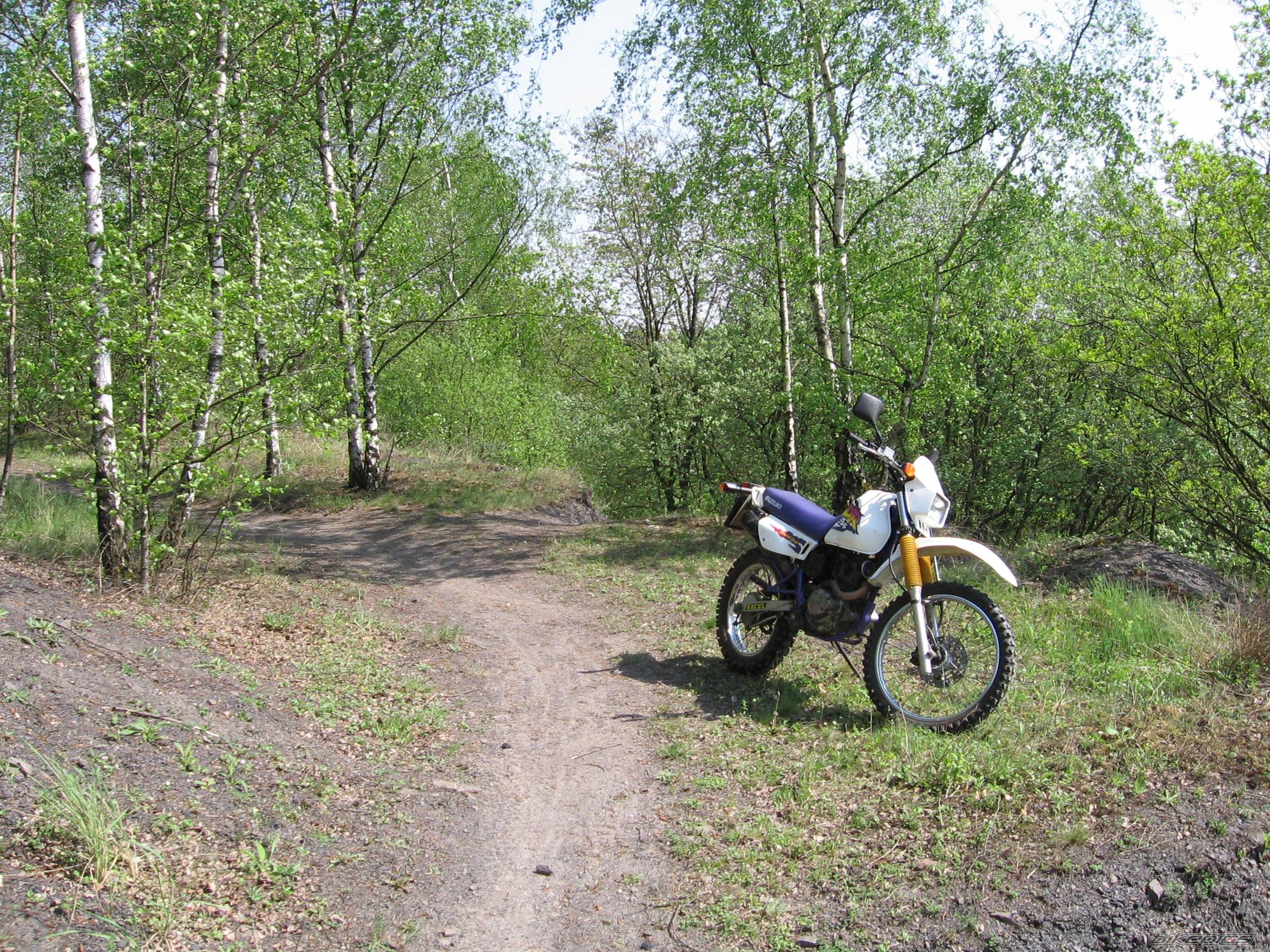 Bike Photo 582484
