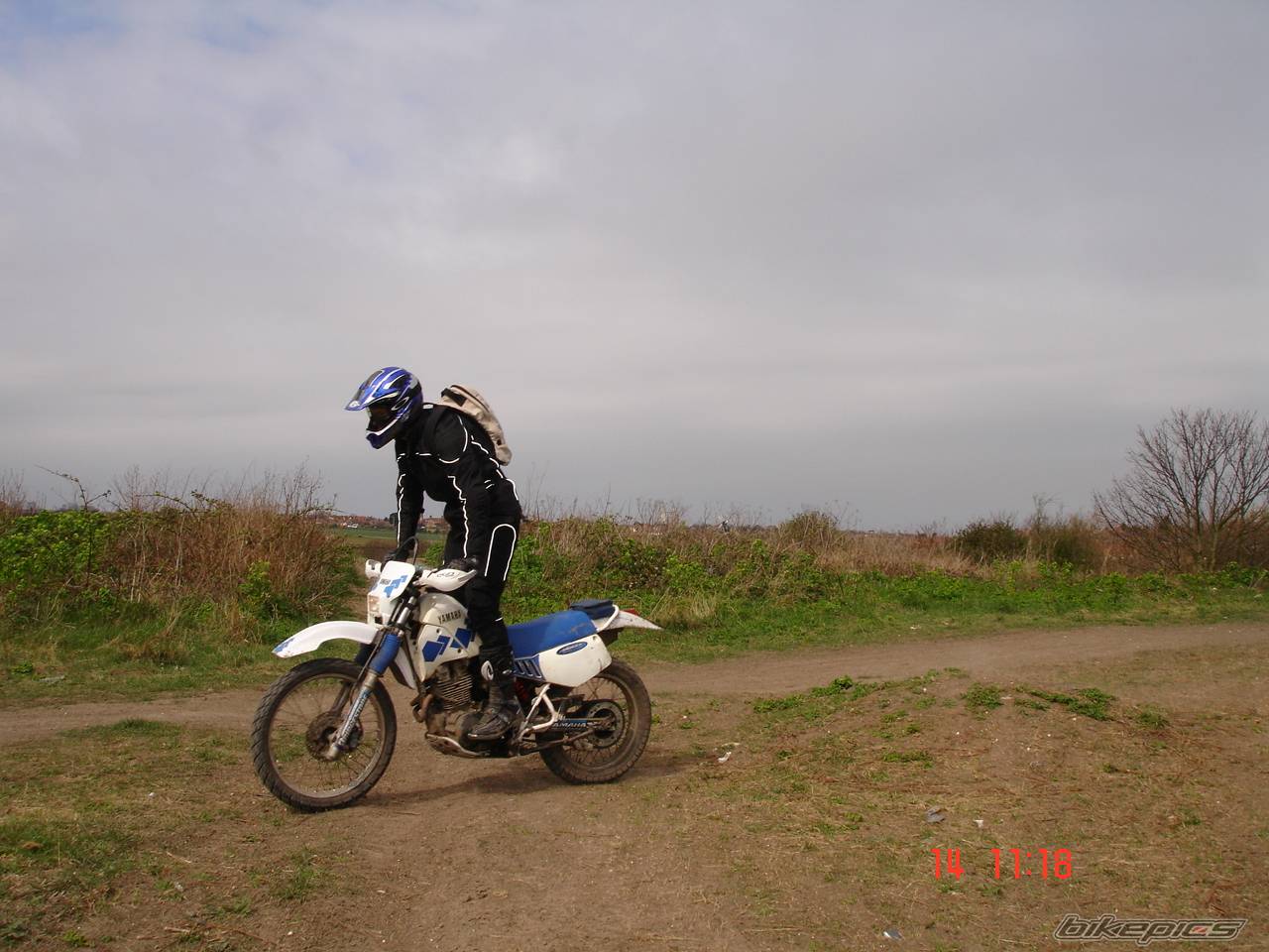Photo 582519