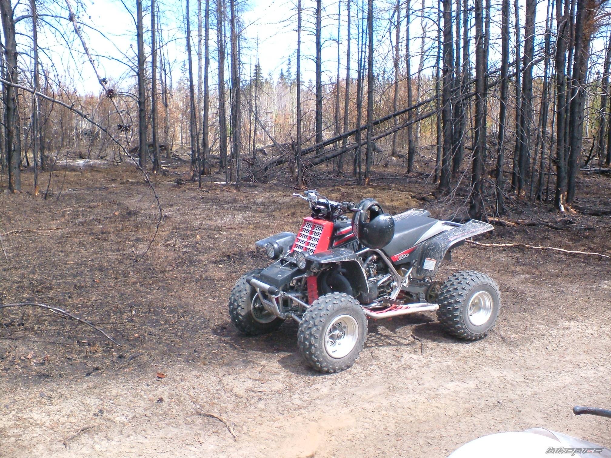 Bike Photo 583802