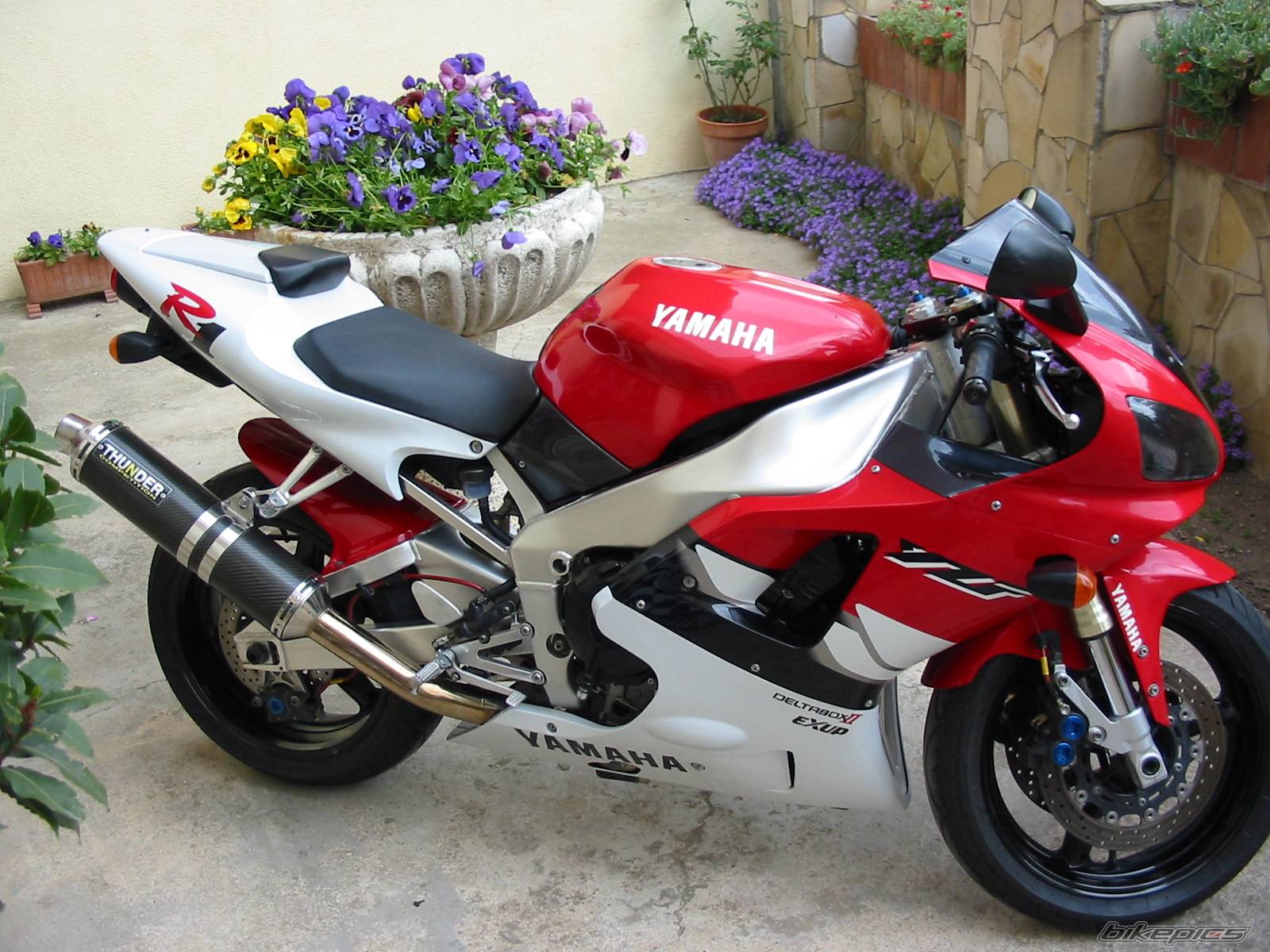 Bike Photo 58386