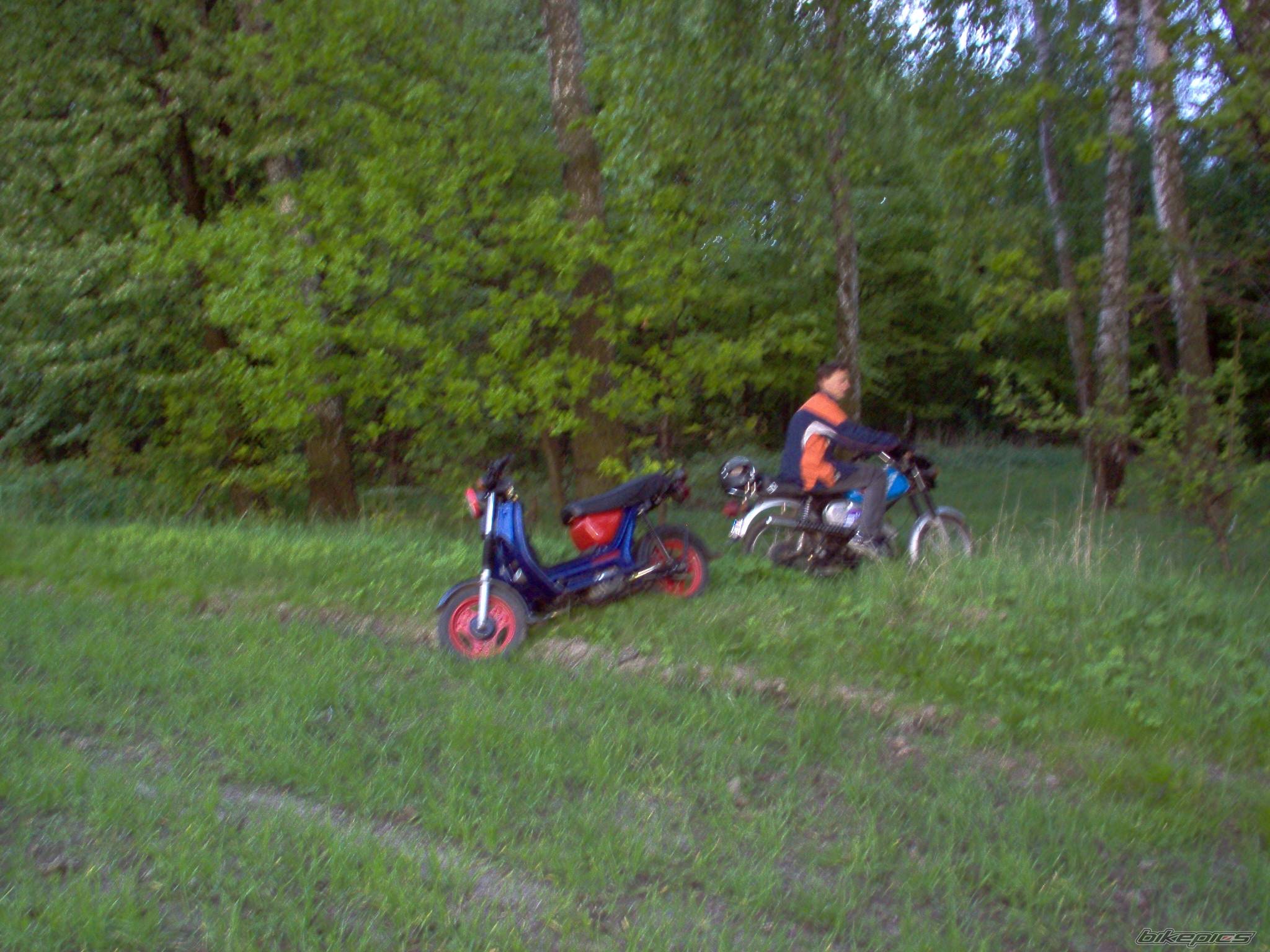 Photo 584148