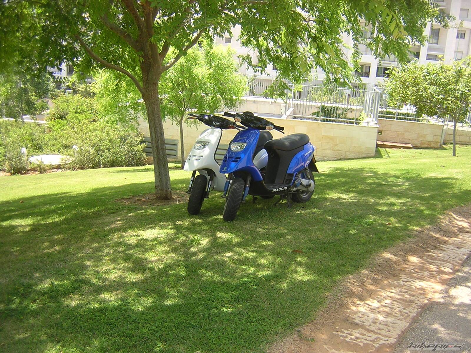 Photo 584763