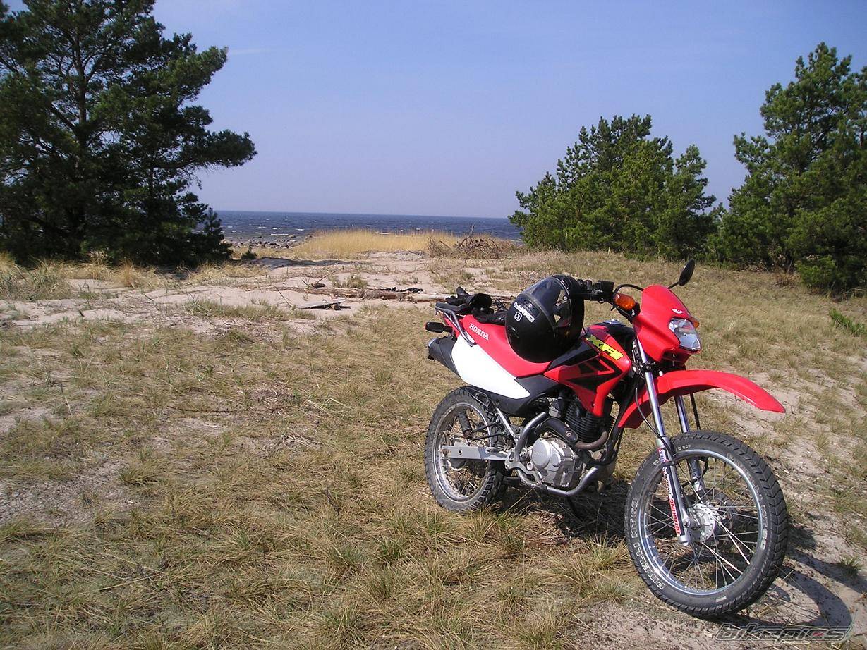 Bike Photo 584839
