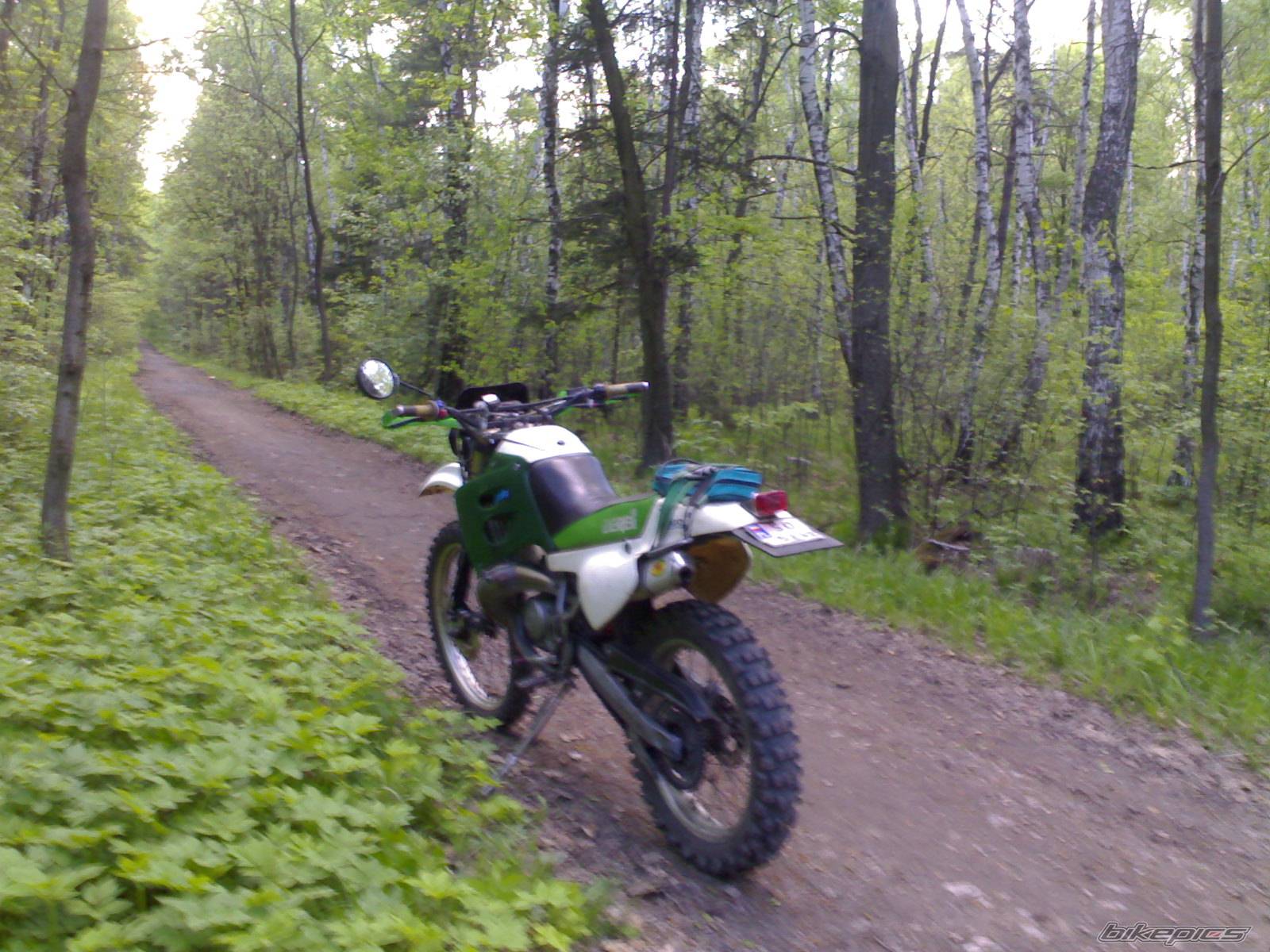 Photo 585909