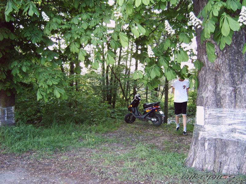 Bike Photo 586135