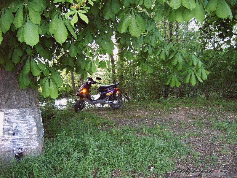 Bike Photo 586136