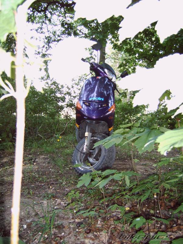 Bike Photo 586149