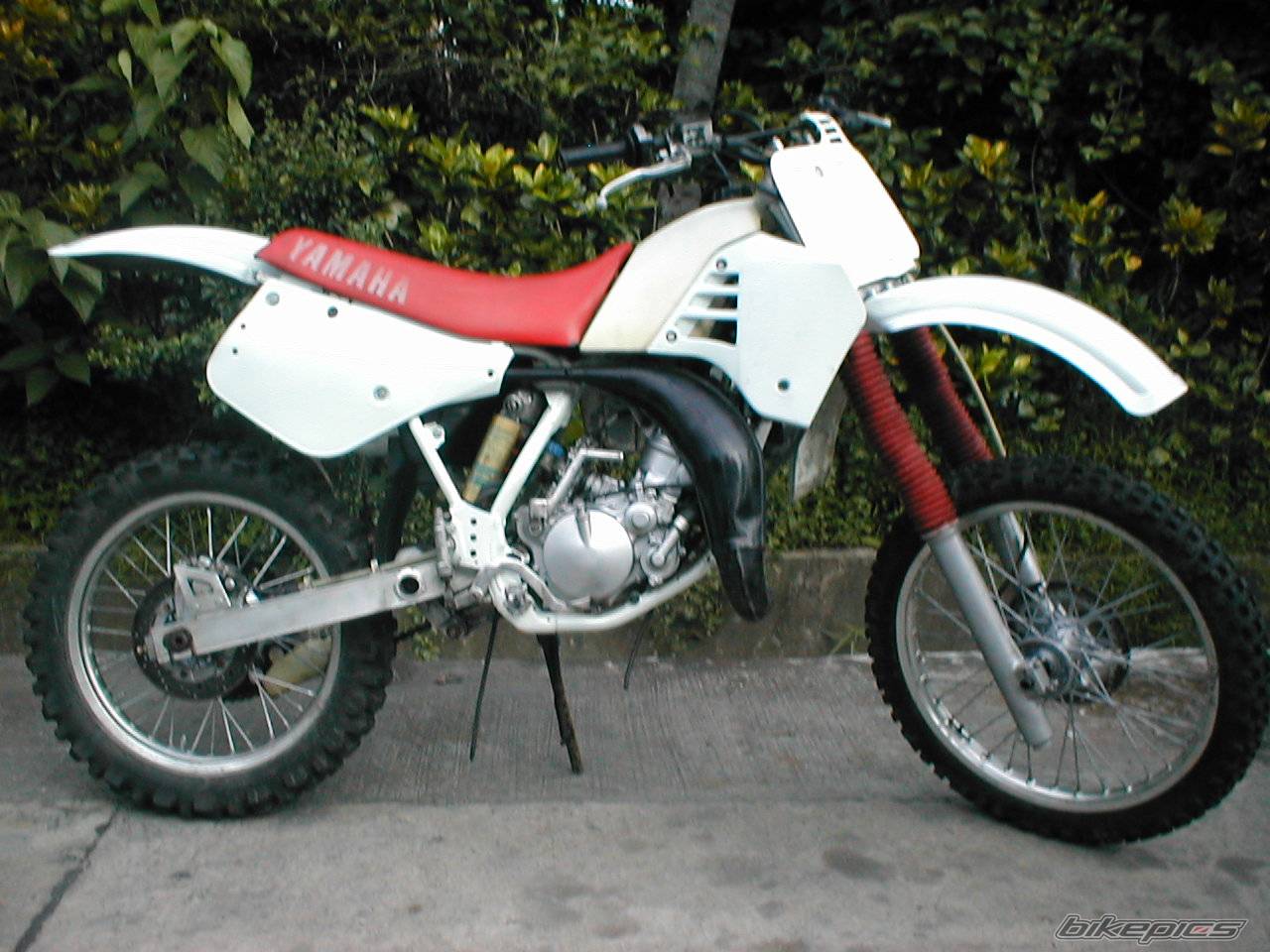 Bike Photo 58621