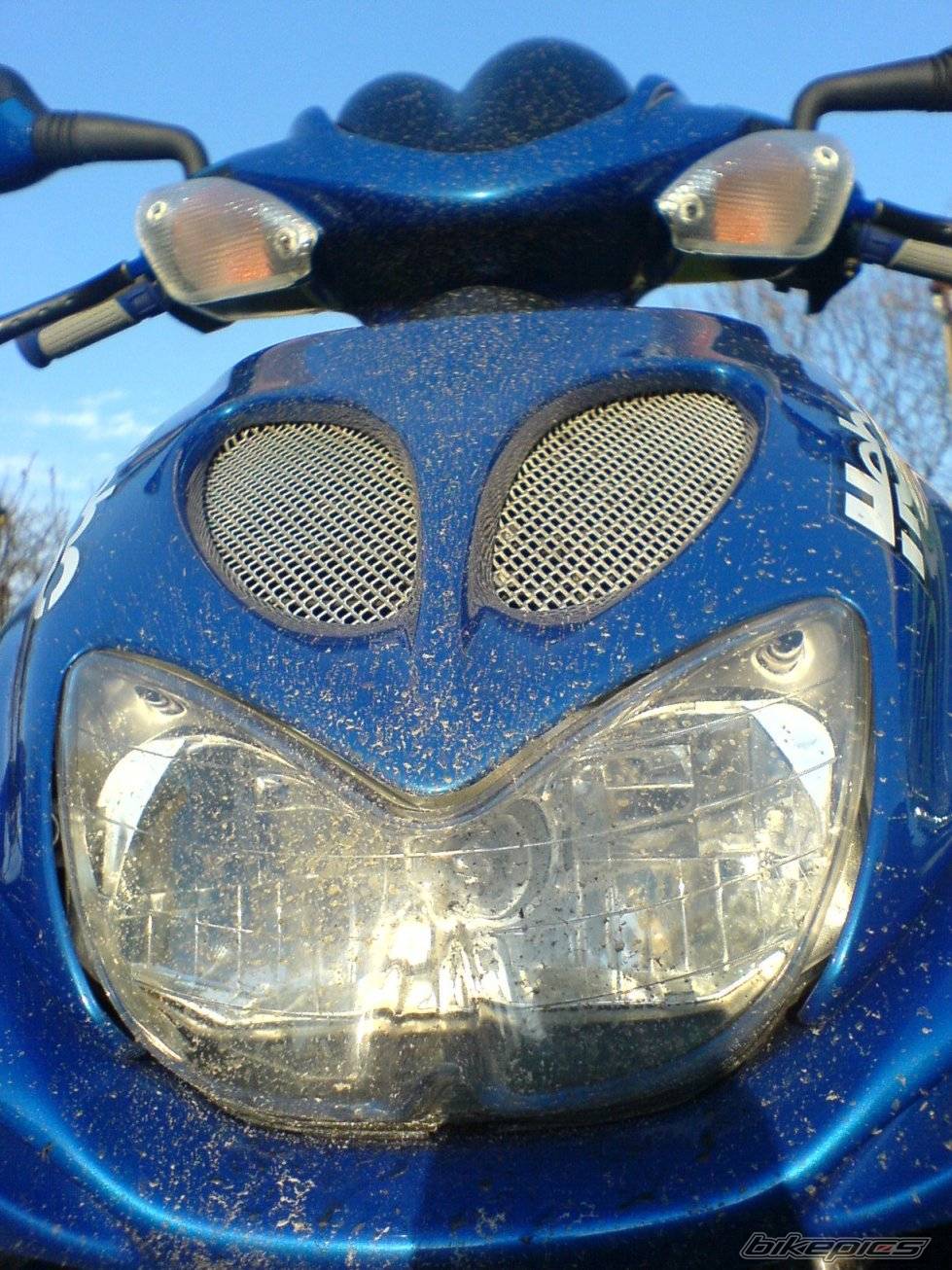Photo 586250