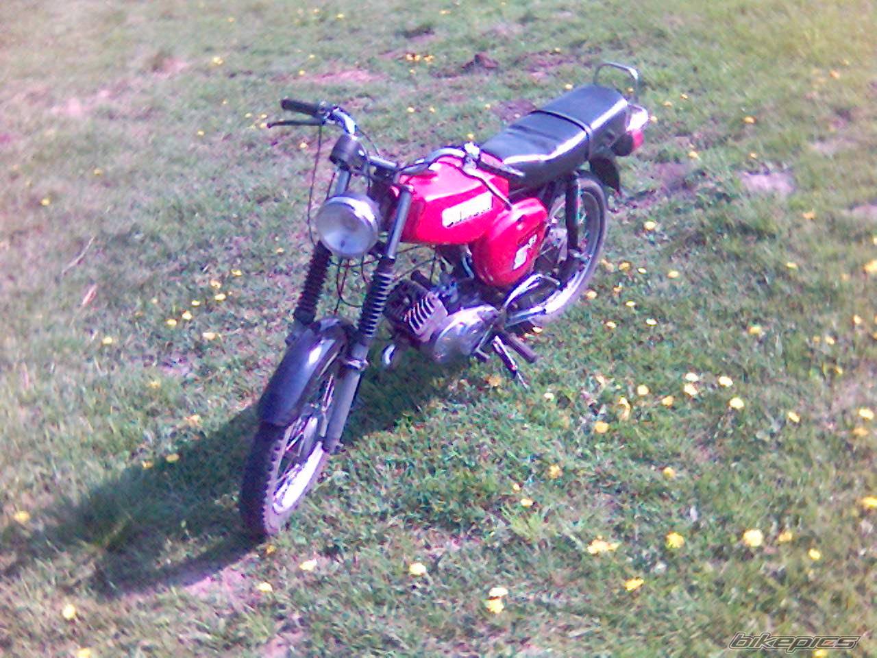 Photo 586322