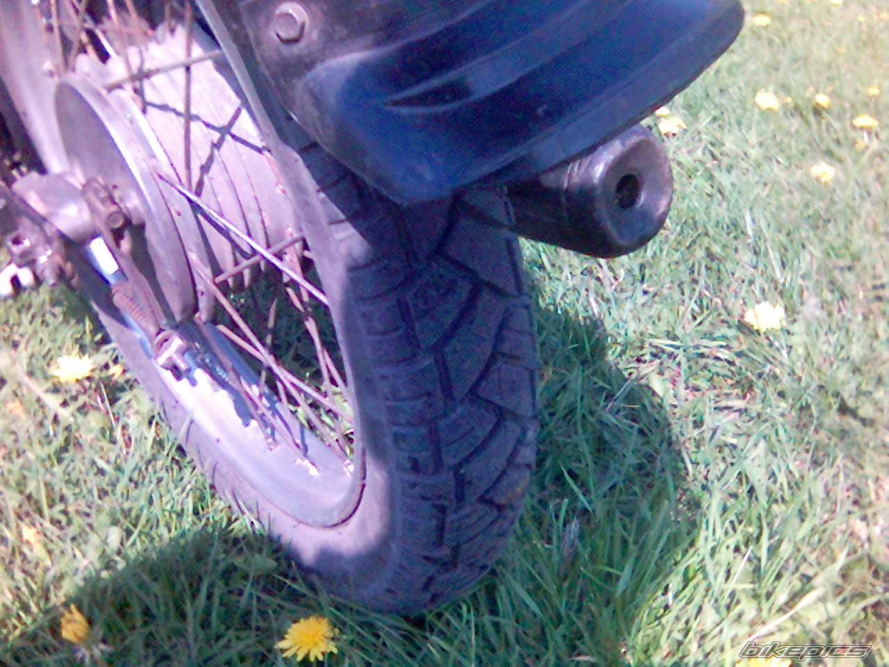 Photo 586326