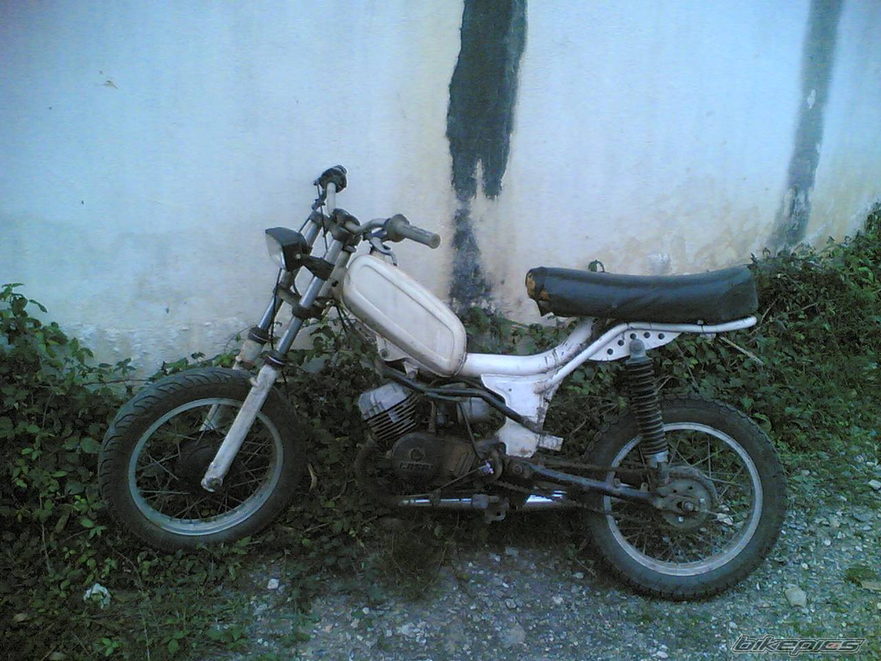 Bike Photo 586392