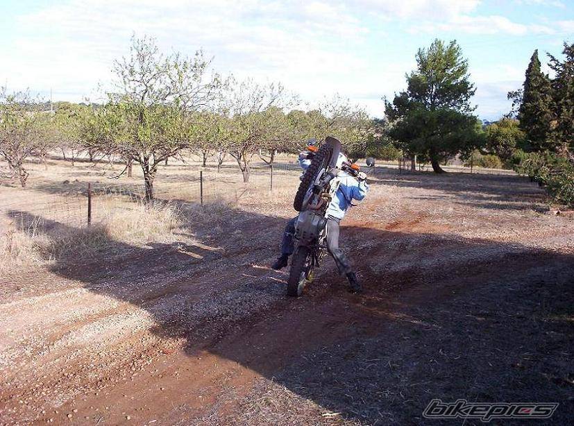 Photo 58693