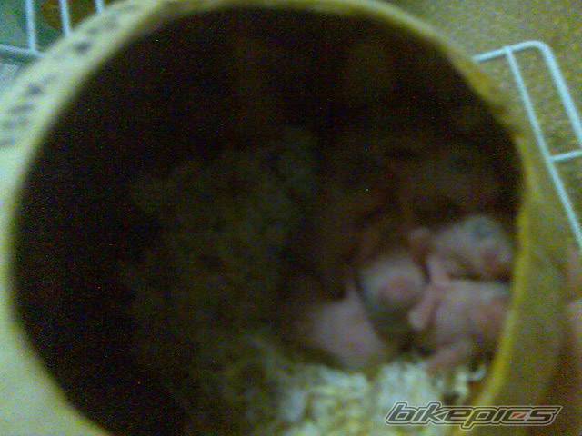 Photo 587132