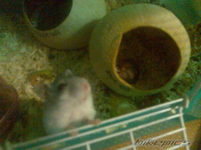 Photo 587134