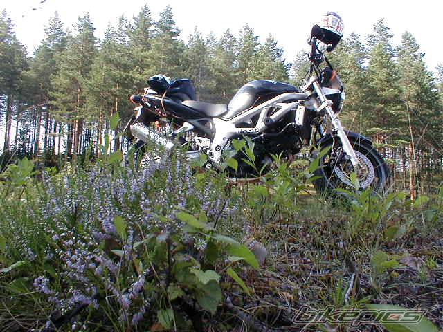 Bike Photo 58743