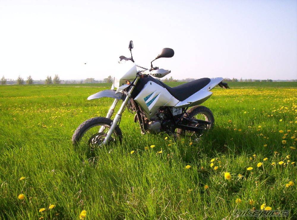 Bike Photo 588439
