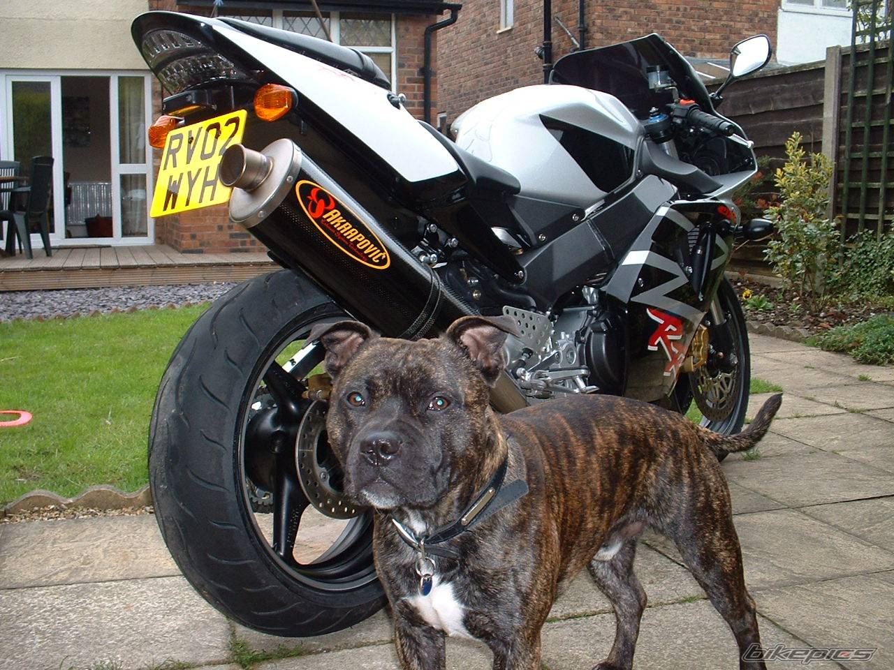 Bike Photo 588569