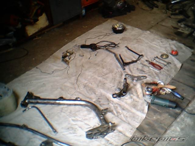 Photo 589072