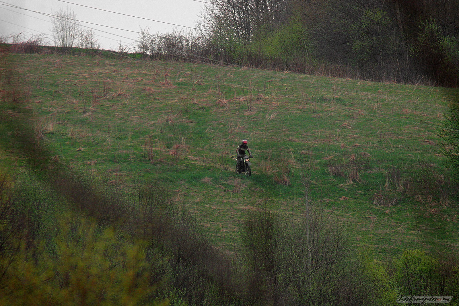 Photo 589342