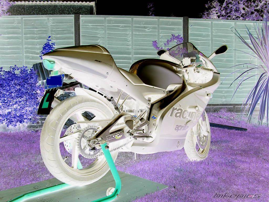 Bike Photo 589494