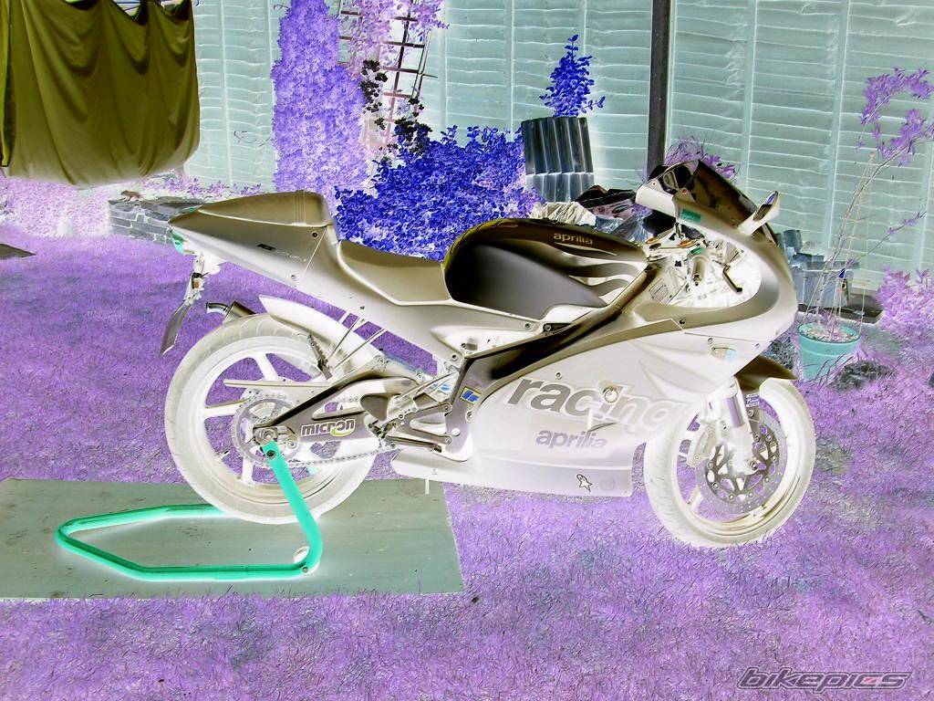 Bike Photo 589506