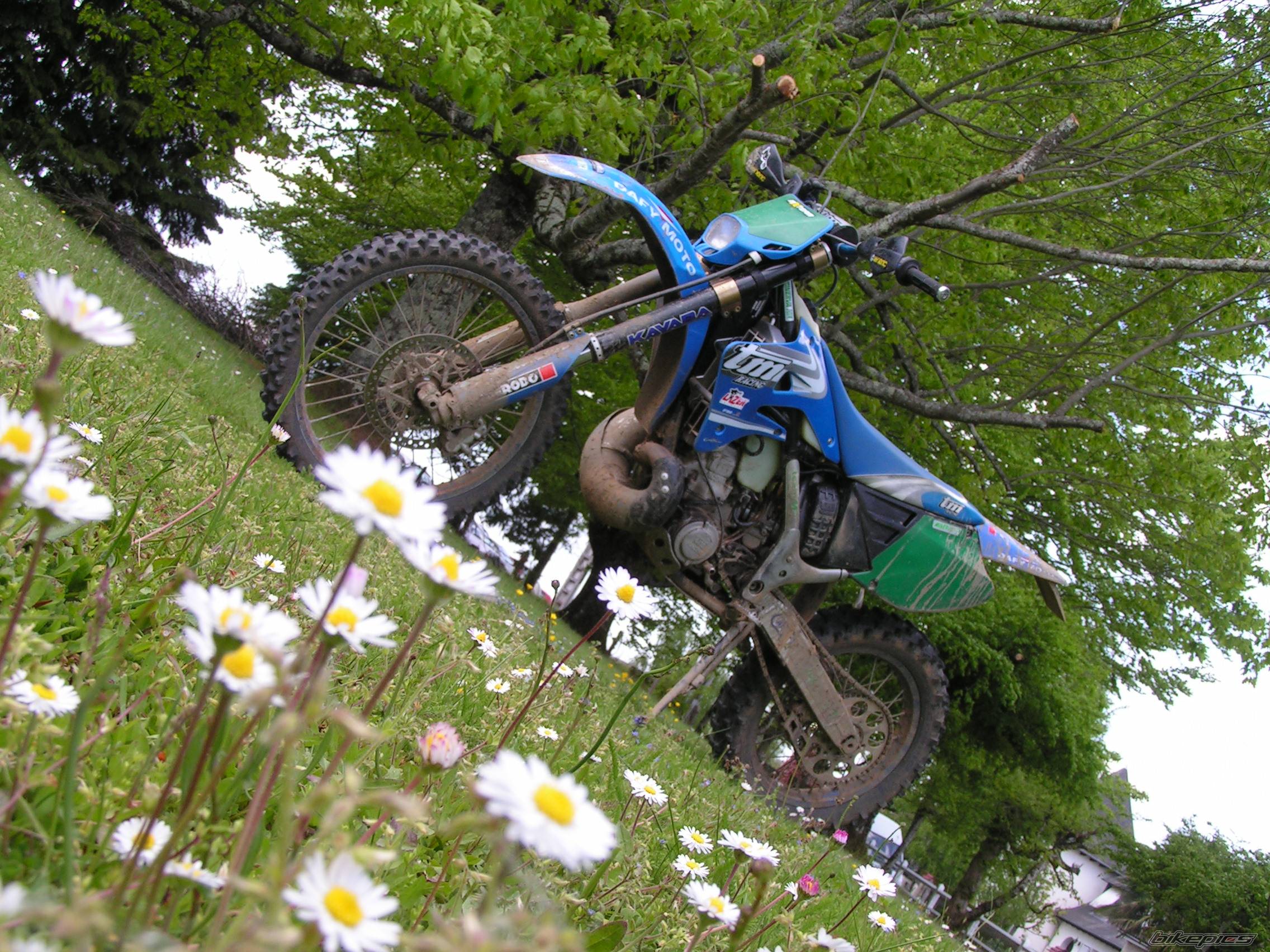 Bike Photo 590226