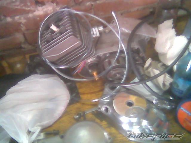 Photo 590349