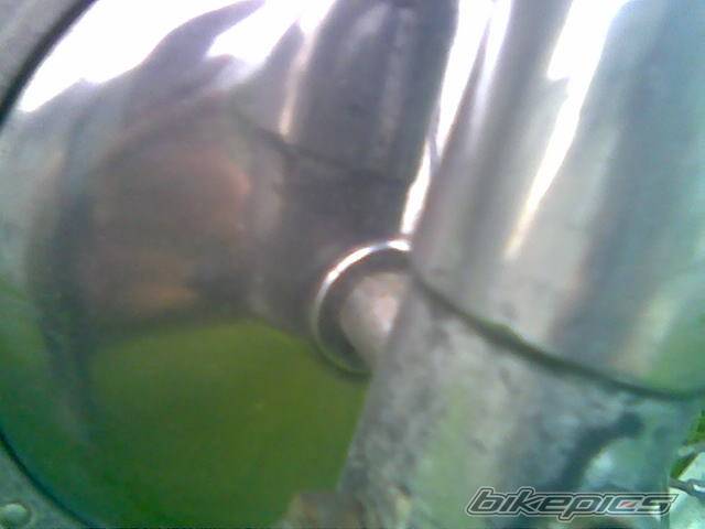 Photo 590388