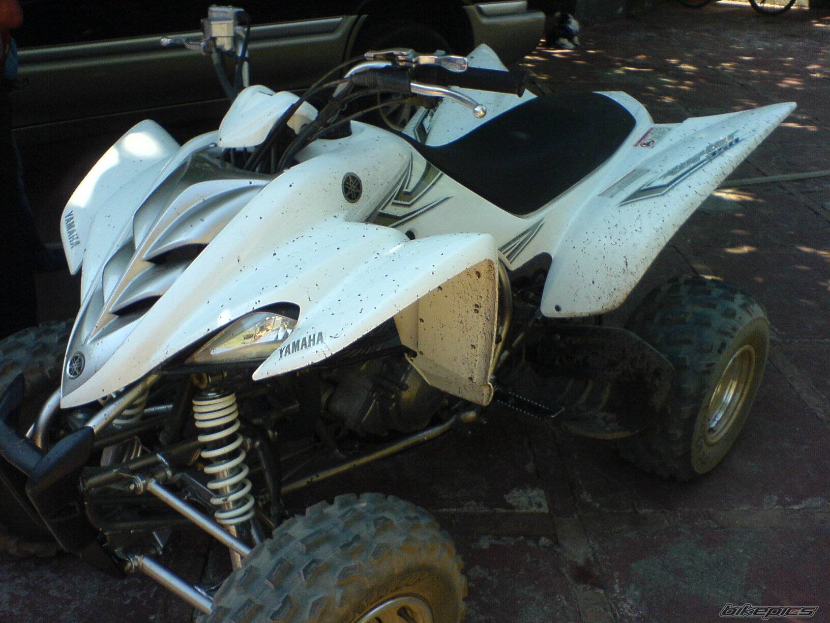 Photo 590424