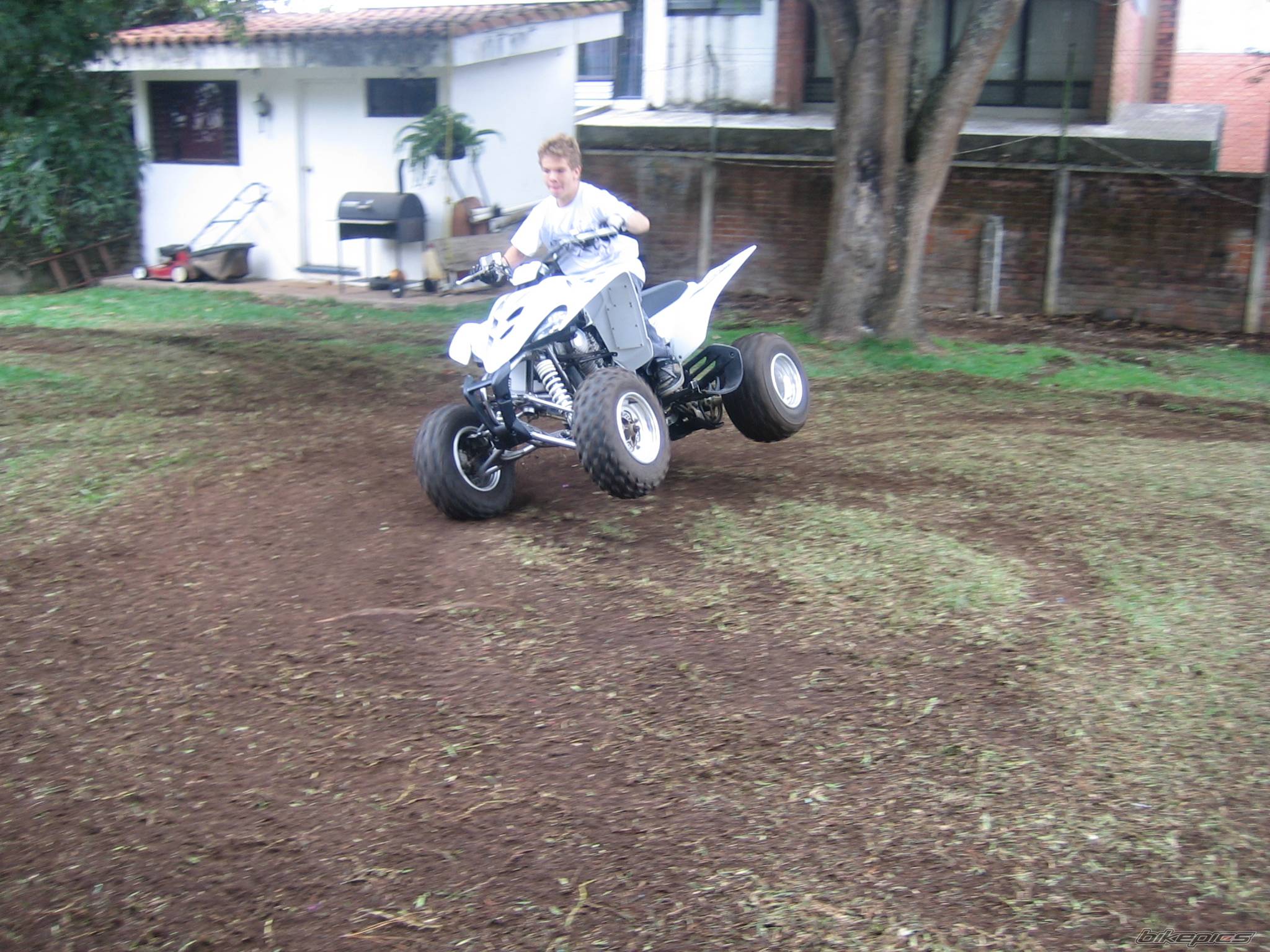 Photo 590441