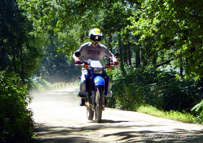 Bike Photo 59049