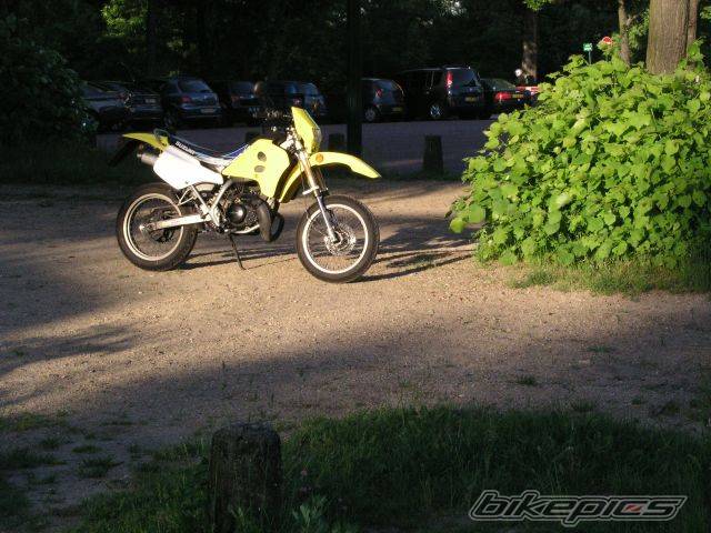 Photo 590529
