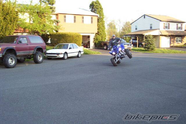 Photo 59058