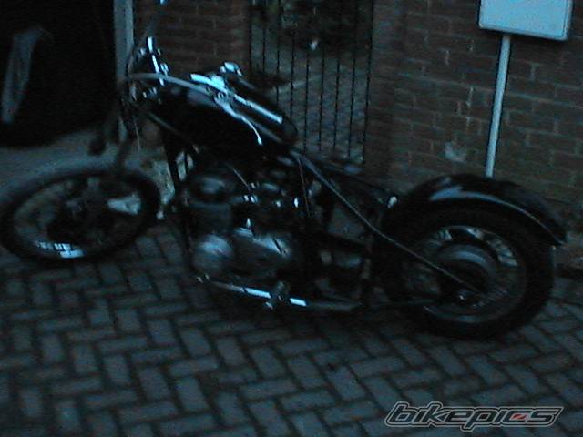 Photo 590582