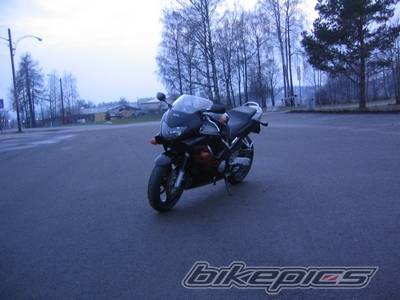 Photo 590753