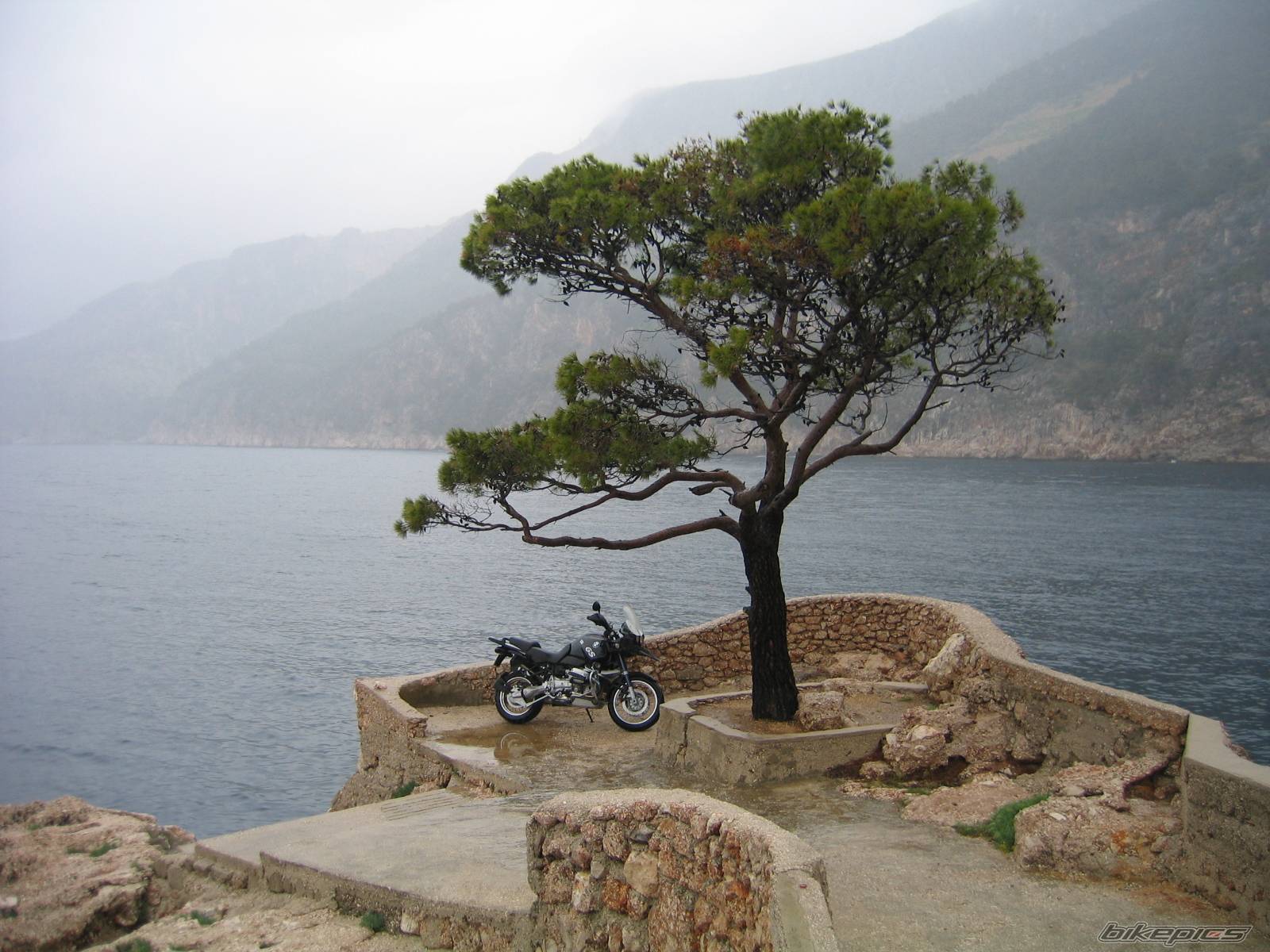 Bike Photo 590810