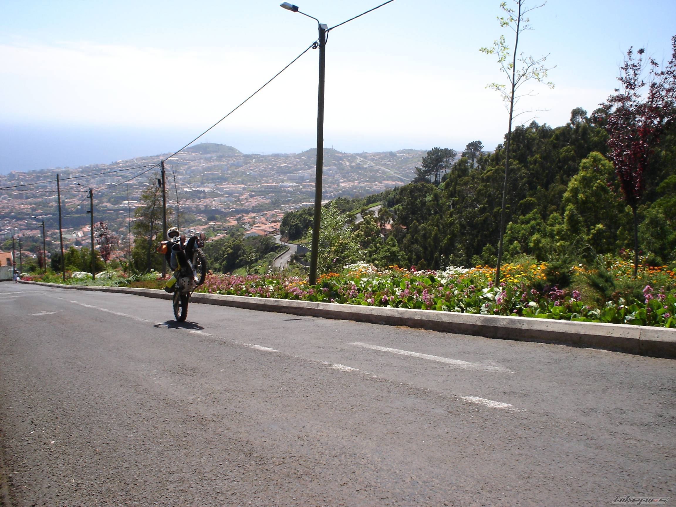 Bike Photo 591004