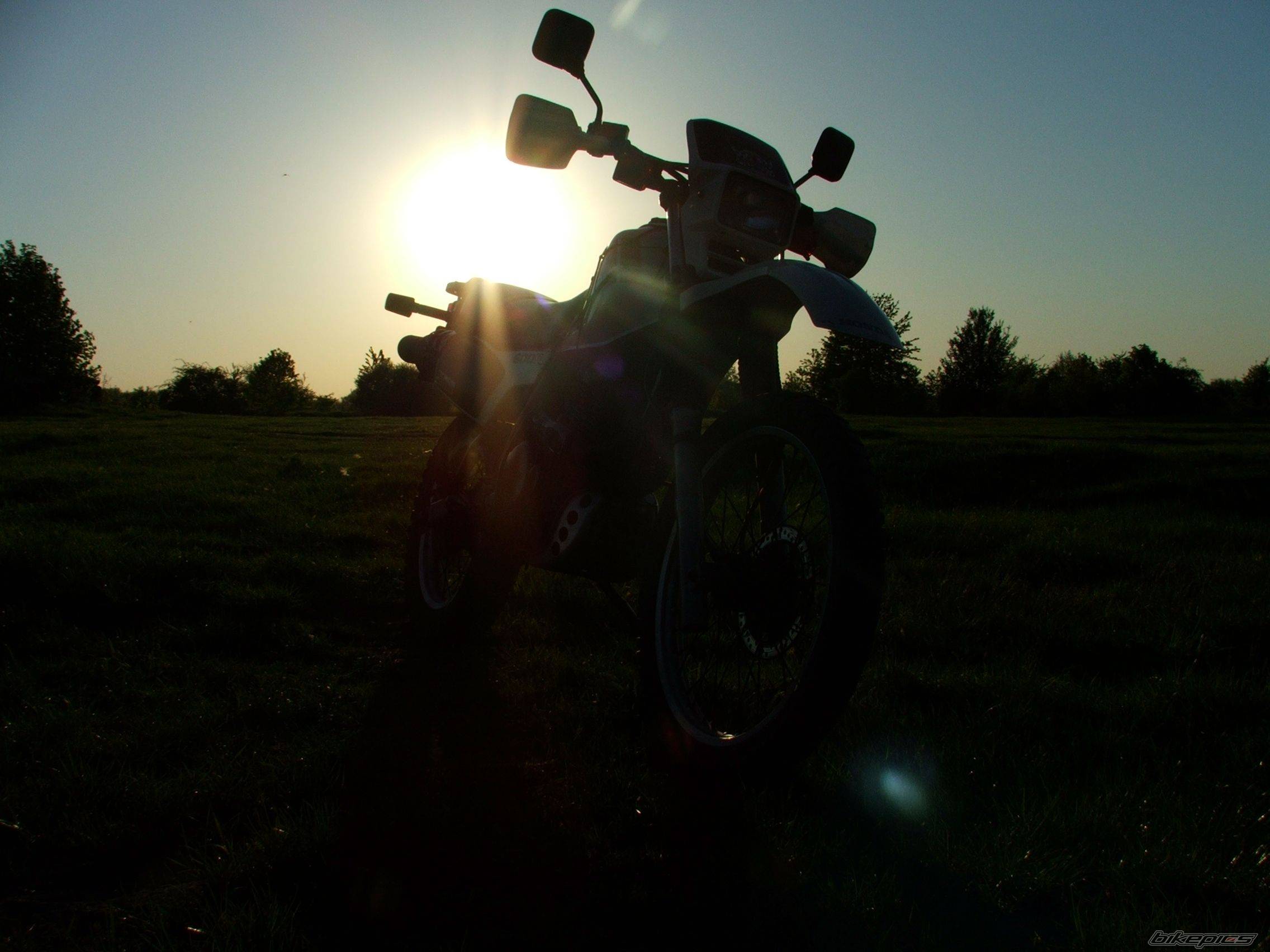 Photo 591067