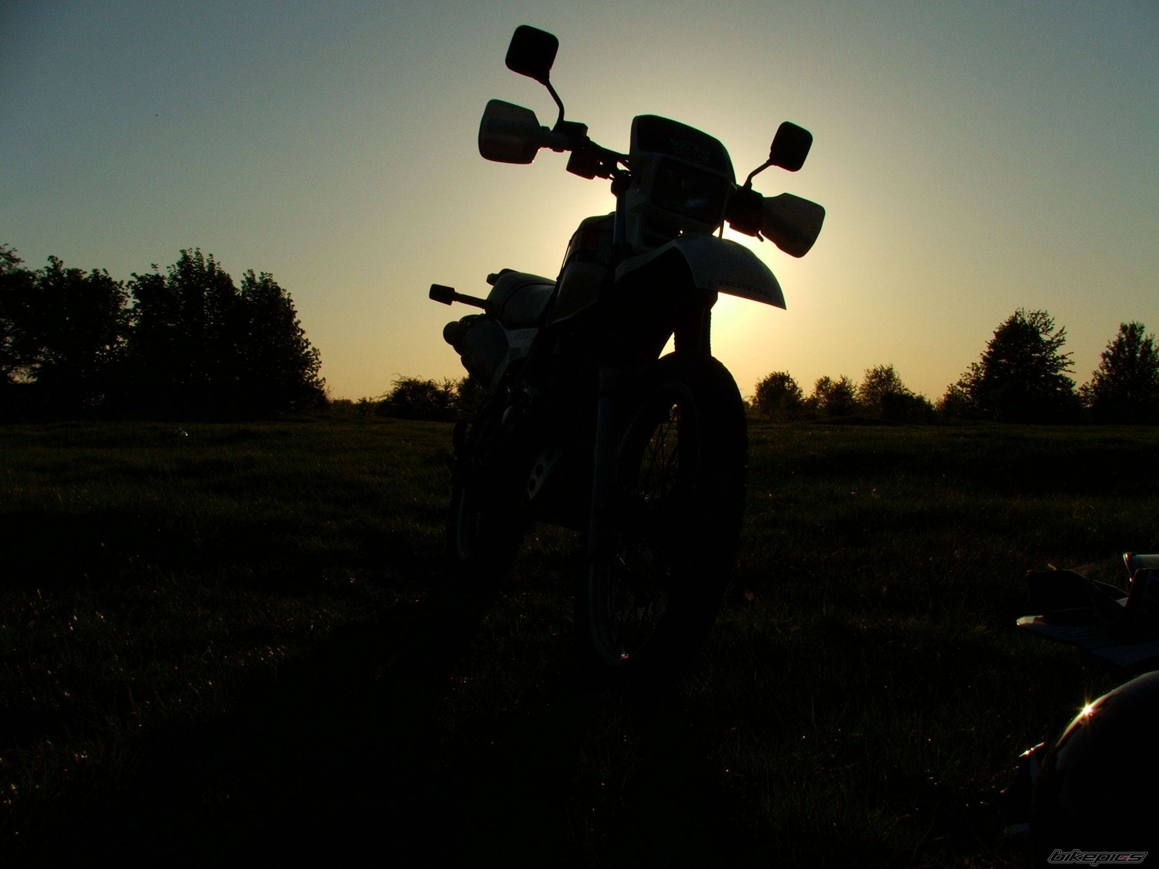 Photo 591071