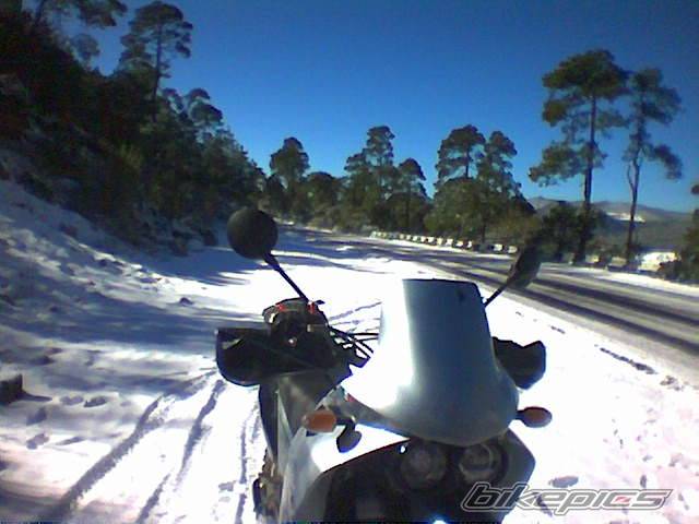 Bike Photo 591441