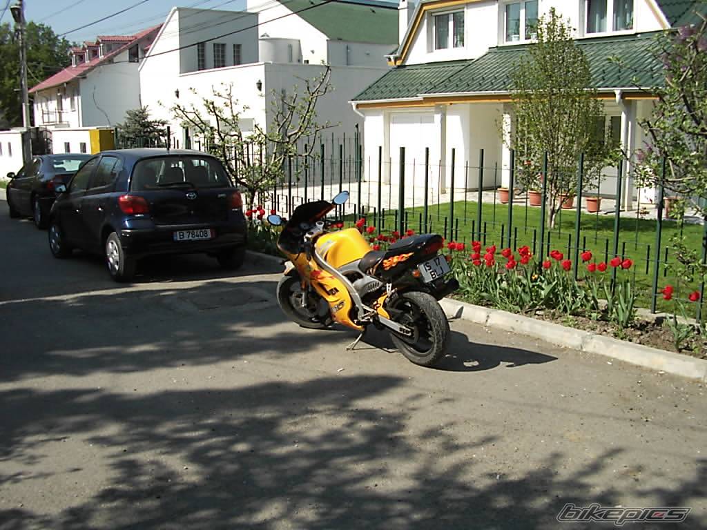 Photo 591931