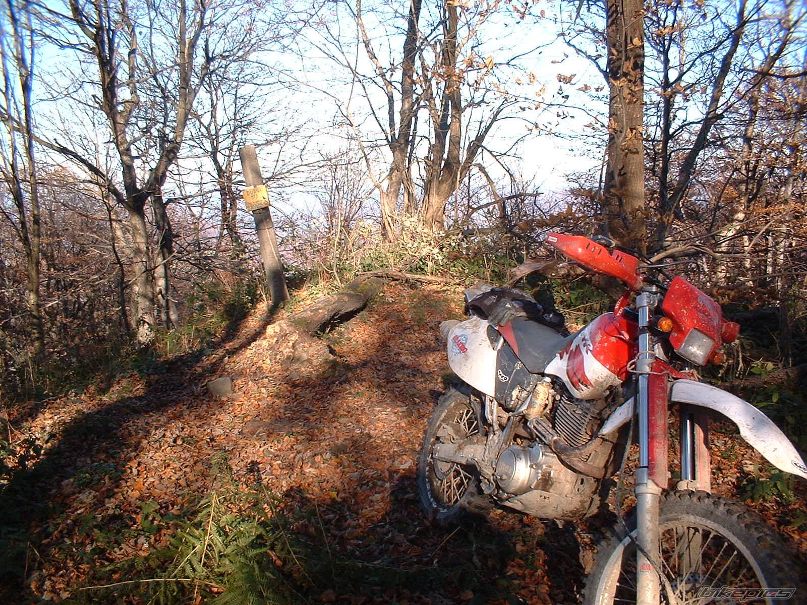 Bike Photo 592196