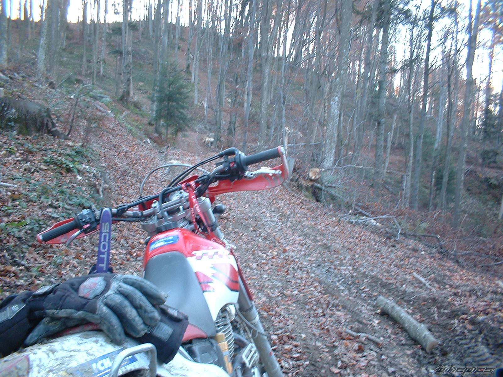 Bike Photo 592197