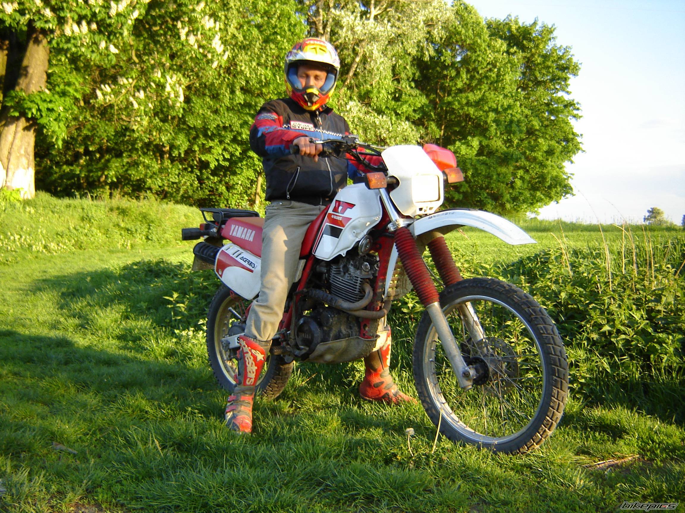 Bike Photo 593327