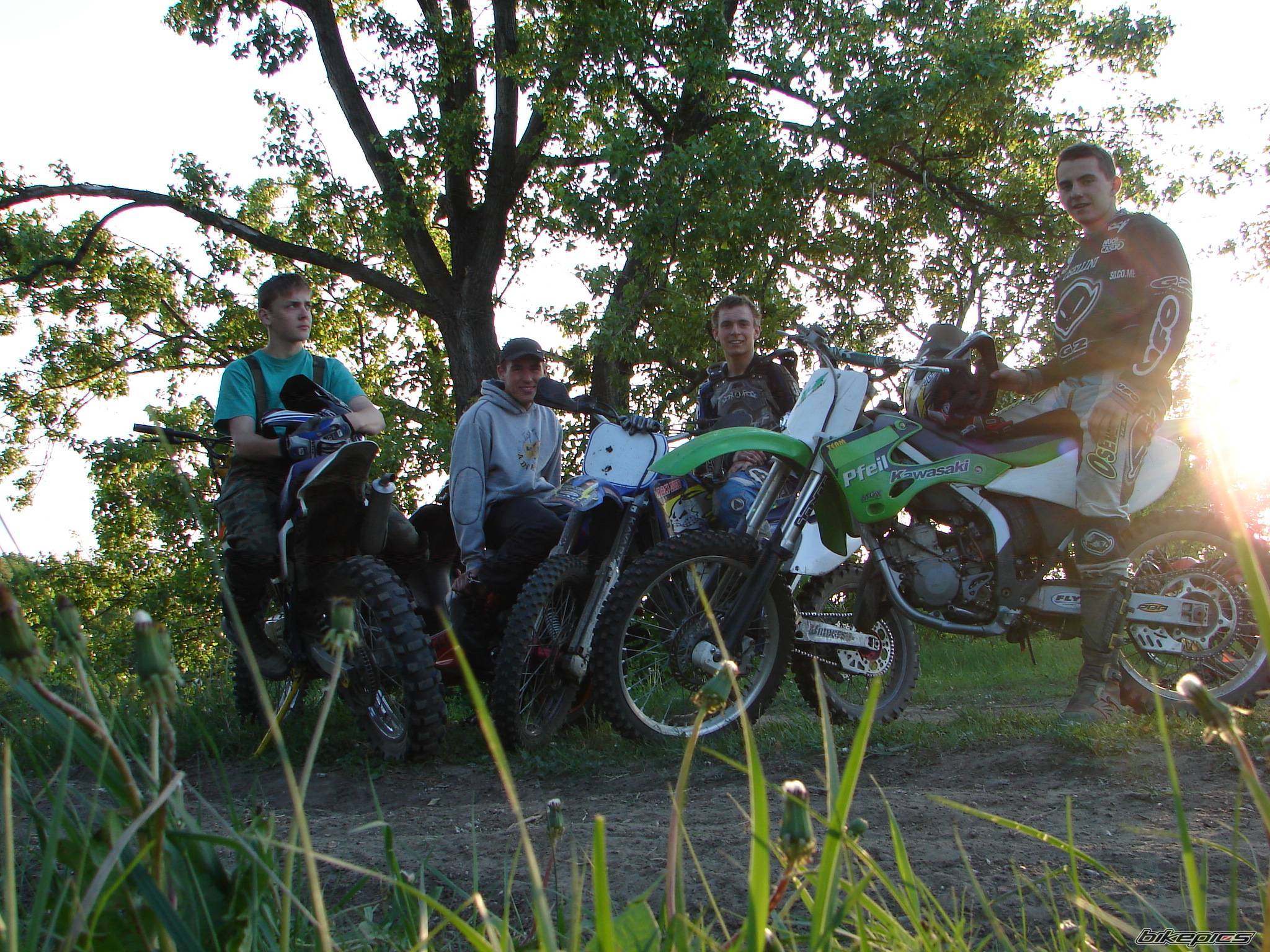 Photo 593408