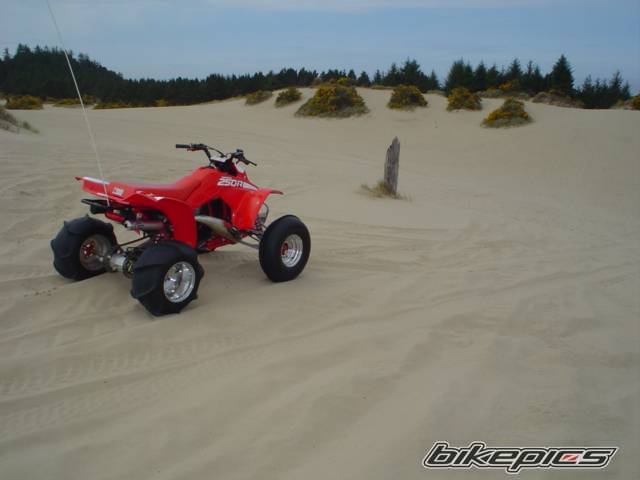 Bike Photo 593416