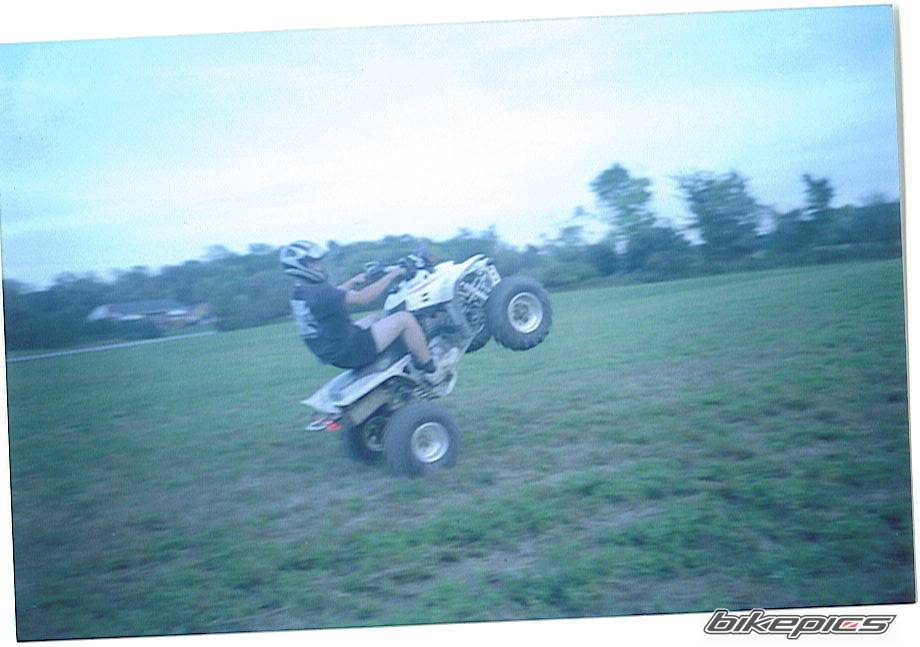 Photo 593545