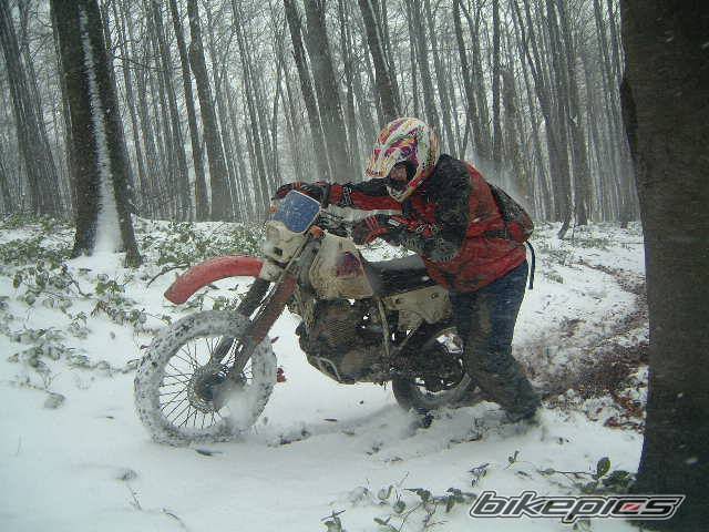 Bike Photo 593850